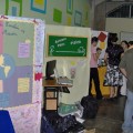 Stands