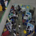 Stands